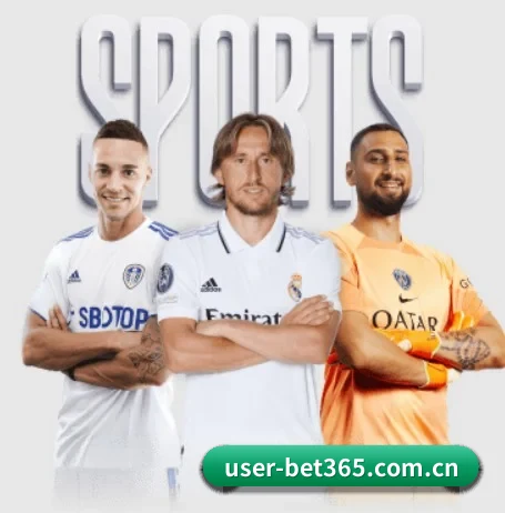 五个功能入口,赛程查询路径更短 - 多运动项目内容板块 - online bet365